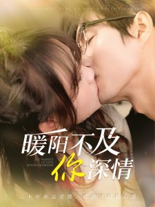 暖阳不及你深情全集(大结局)